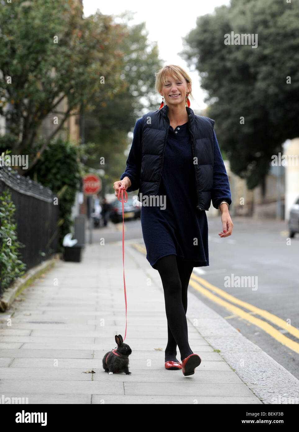 Junge Frau nimmt ihr Haustier schwarzes Baby-Kaninchen für einen Spaziergang an der Leine - Brighton UK Stockfoto