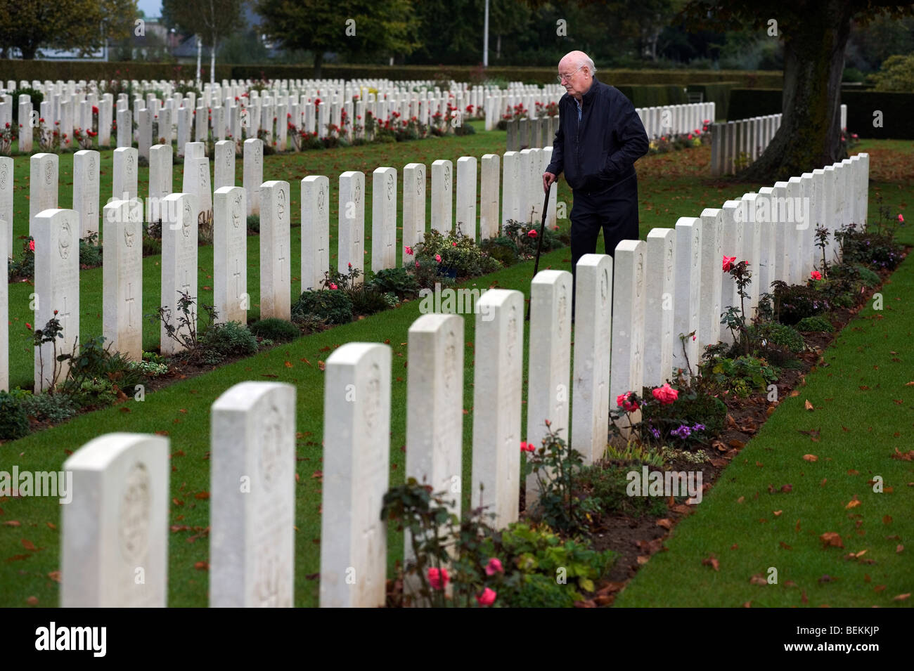 Bayeux Commonwealth War Graves Kommission Cemetery, Bayeux, Normandie, Frankreich. Stockfoto