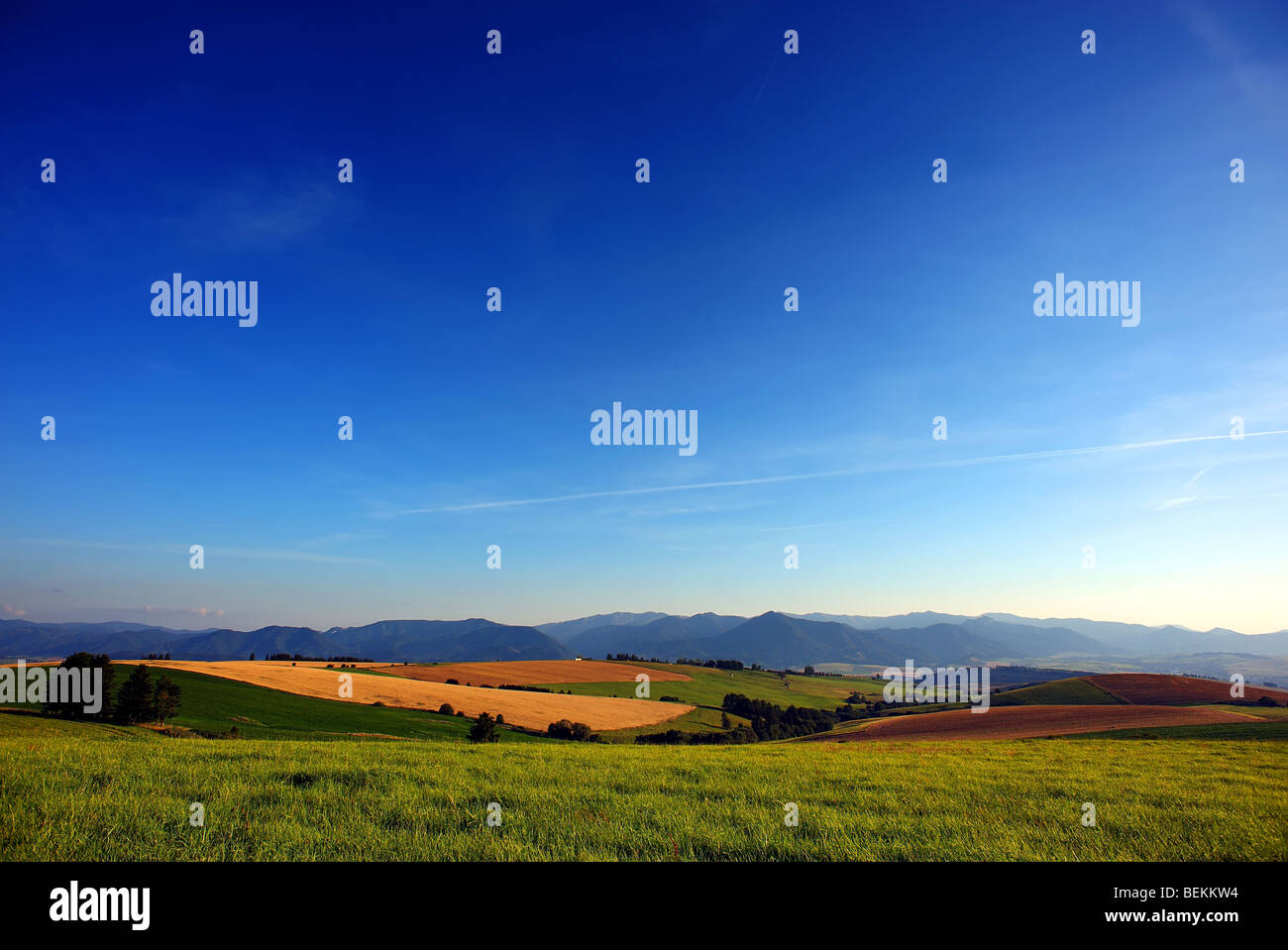 Sommerlandschaft mit Feldern, Wiesen und großen blauen Himmel Stockfoto