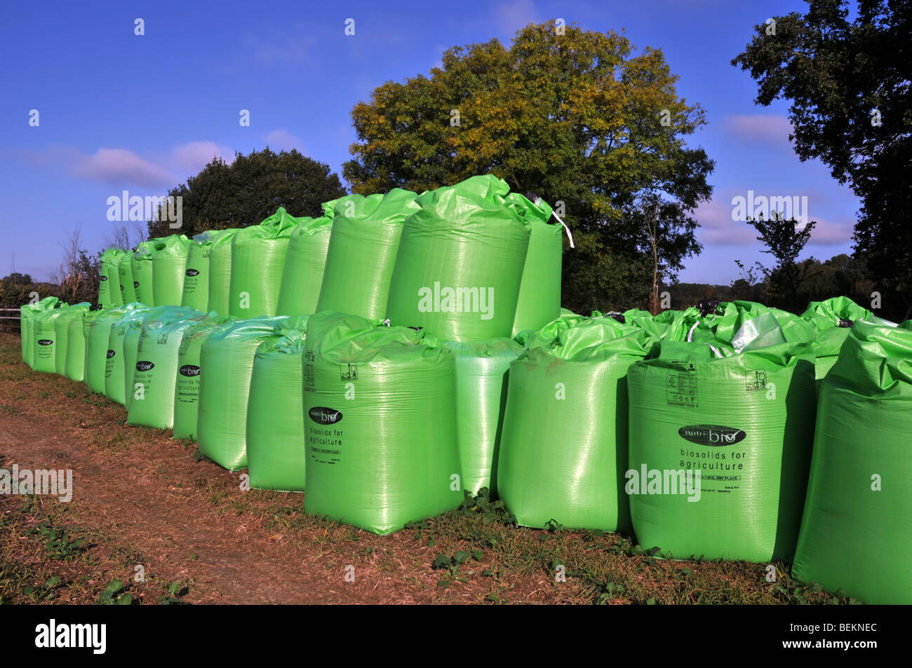 Beutel mit Biosolid Dünger aus Kanalisation von Nutri Bio Ein Teil von Anglian Wasser geliefert, um Farm Feld in grün FIBC Jumbo Bulk Bag Super Sack UK Stockfoto