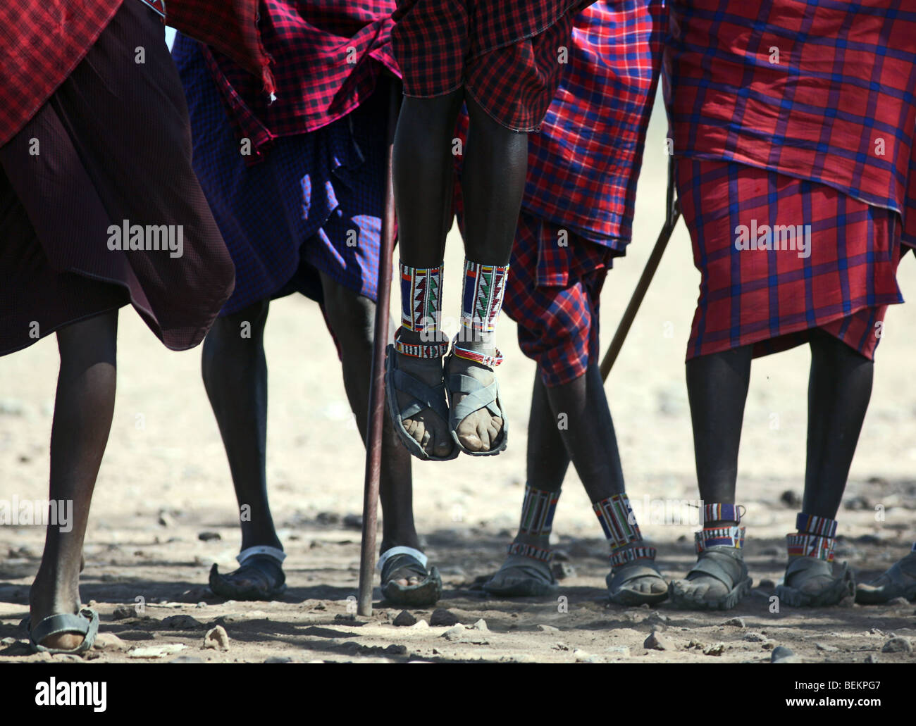 Masai Mann tut einen traditionellen Tanz, Amboseli Nationalpark, Kenia, Ostafrika. Stockfoto