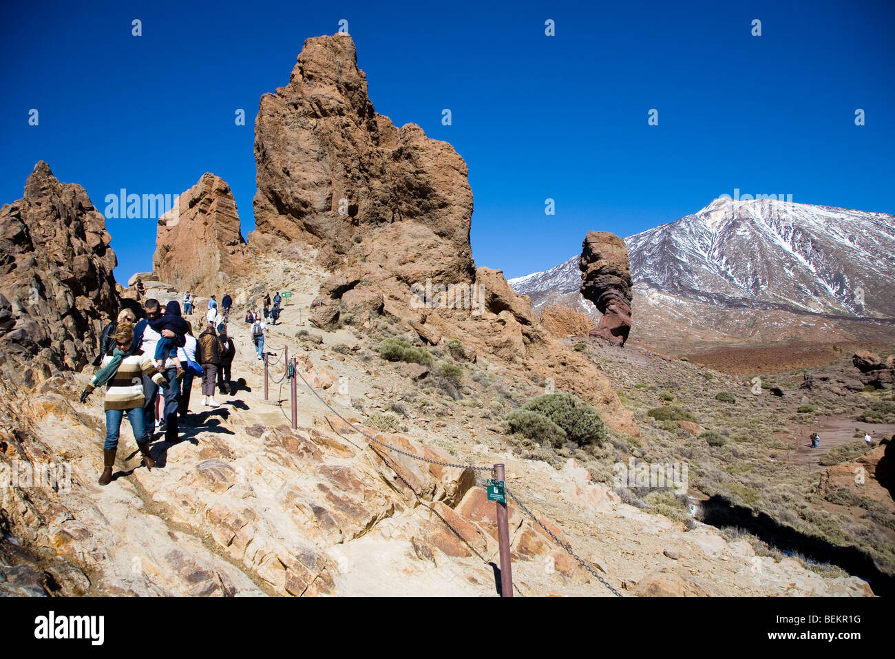 Teneriffa, Kanarische Inseln Stockfoto