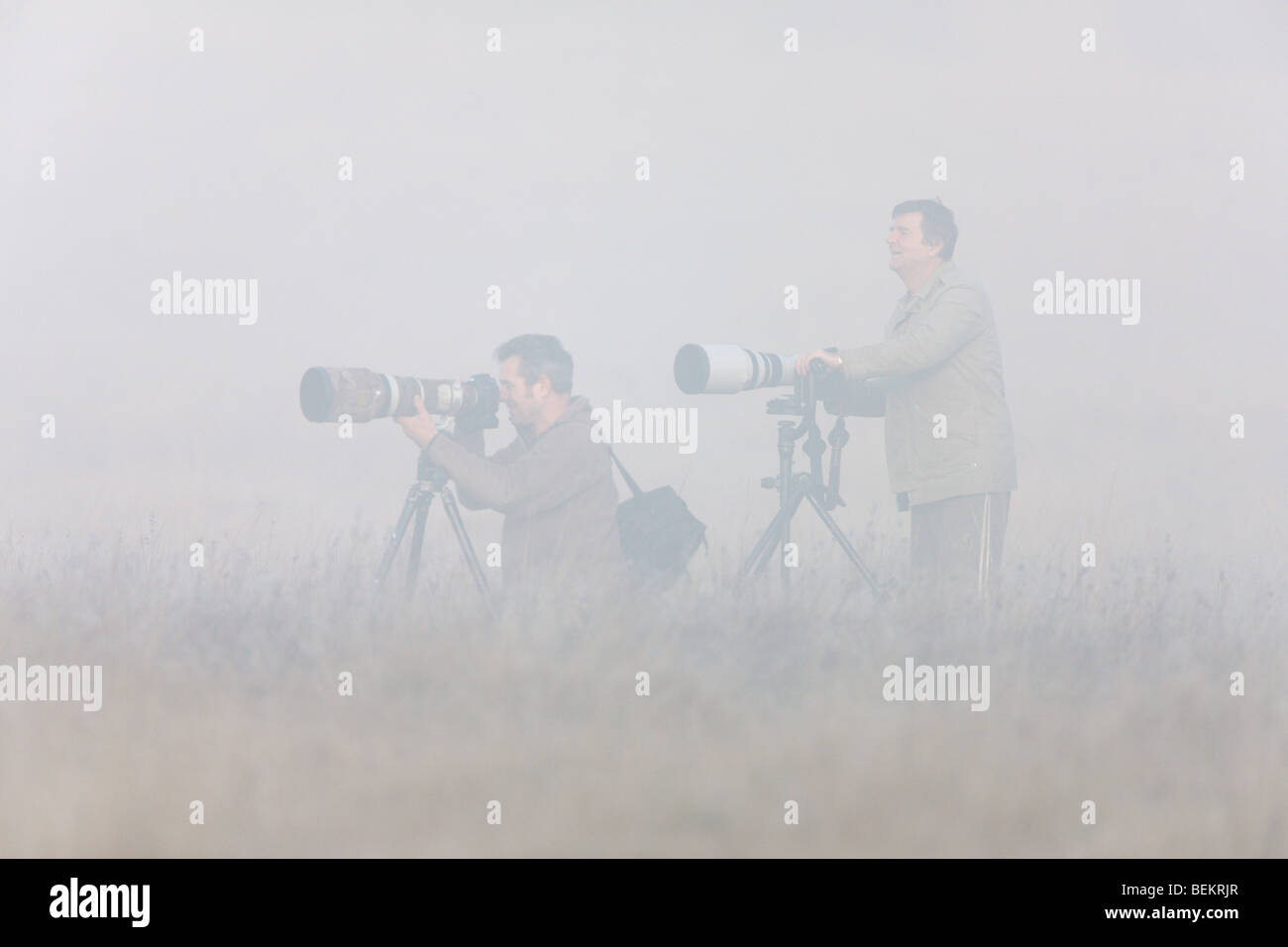 Fotograf mit Teleobjektiv Stockfoto