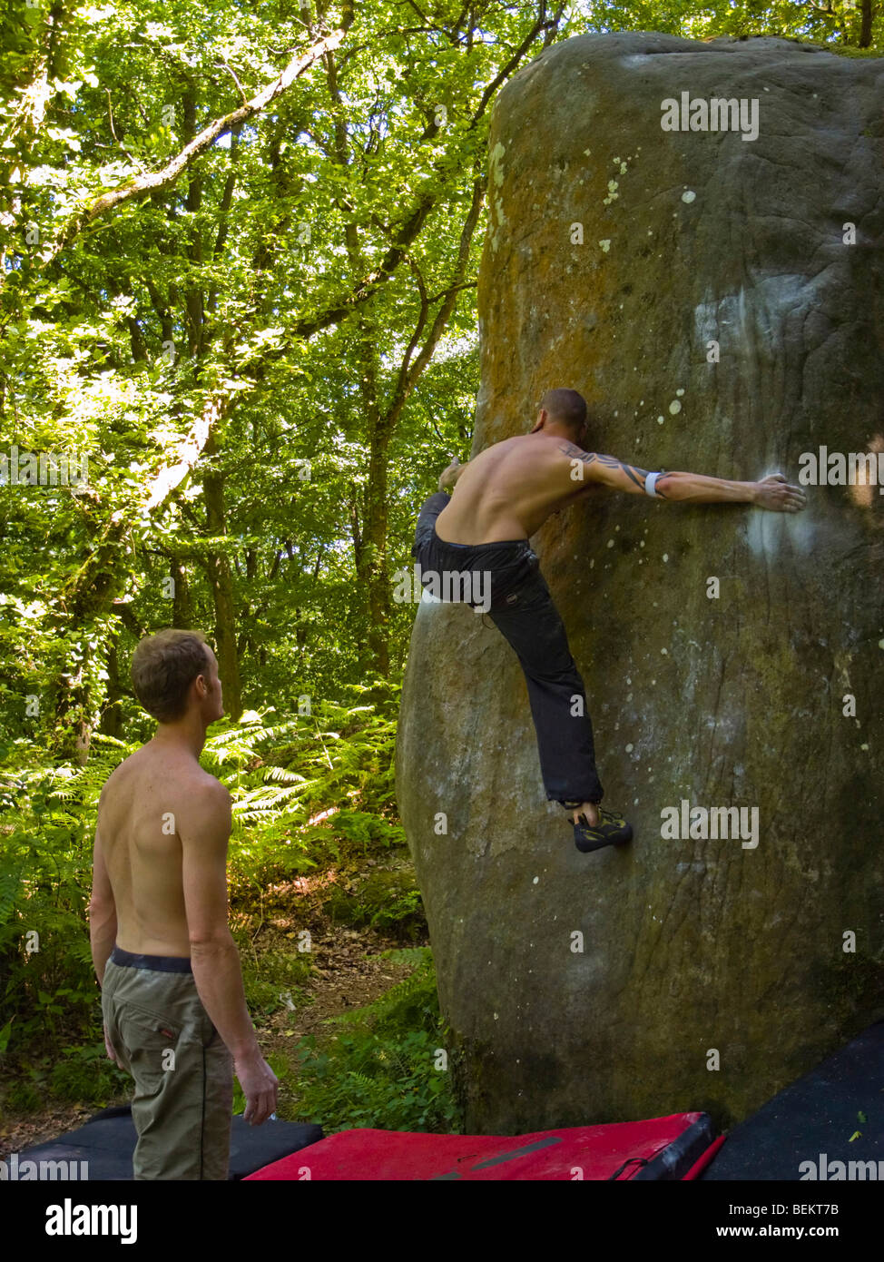 Männliche Bergsteiger versuchen ein Boulder-Problem bei Petite Bois Fontainbleau France Stockfoto