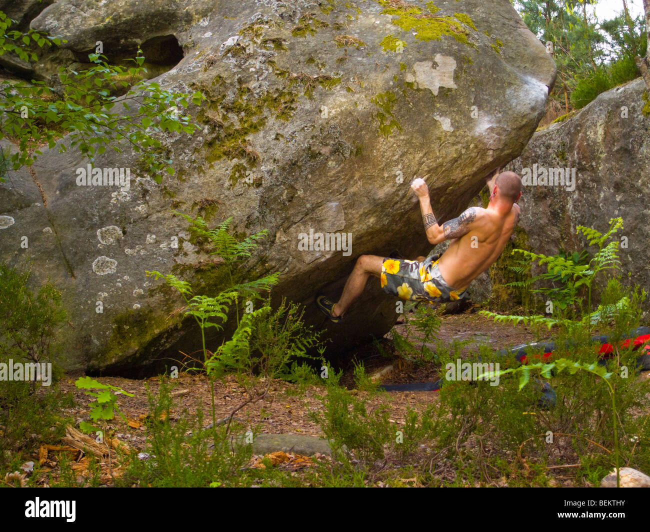 Männliche Bouldern im Isatis Fontainebleau Frankreich Stockfoto