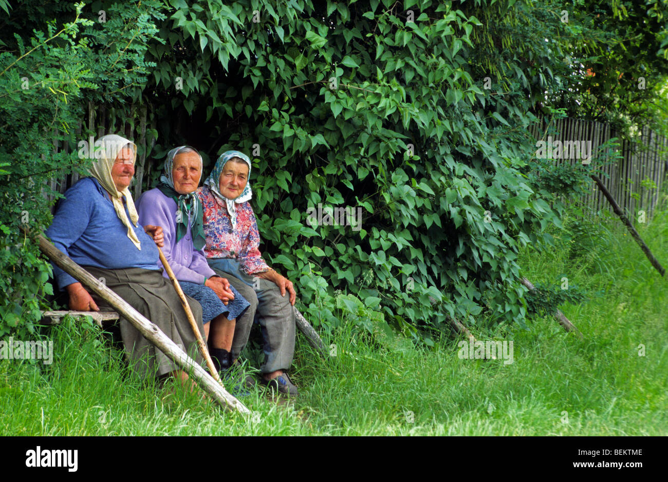 Alte frauen bank -Fotos und -Bildmaterial in hoher Auflsung Alamy Alte frauen bank -Fotos und -Bildmaterial in hoher Auflsung Alamy