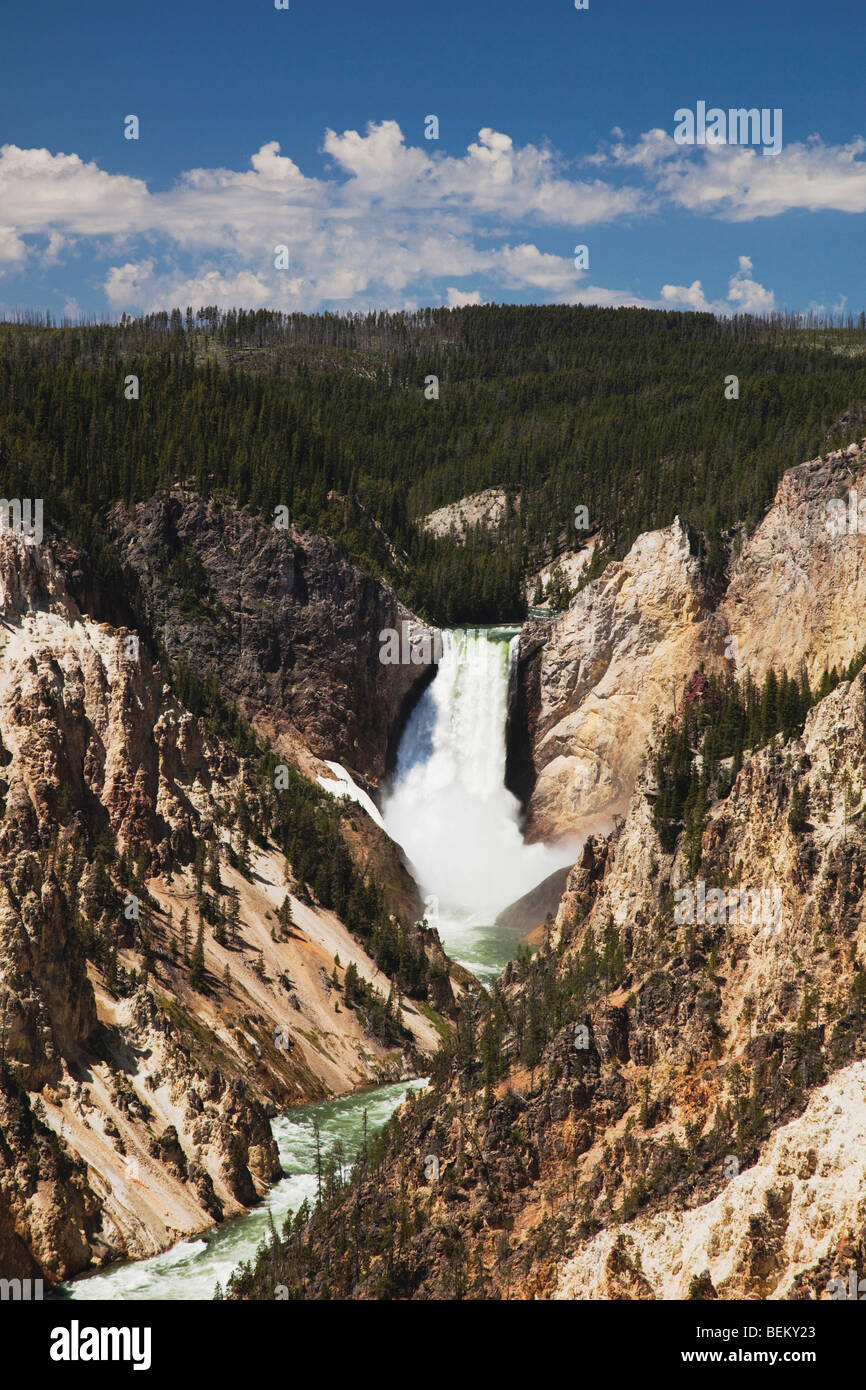 Lower Falls, Canyon Village, Yellowstone Nationalpark, Wyoming, USA Stockfoto