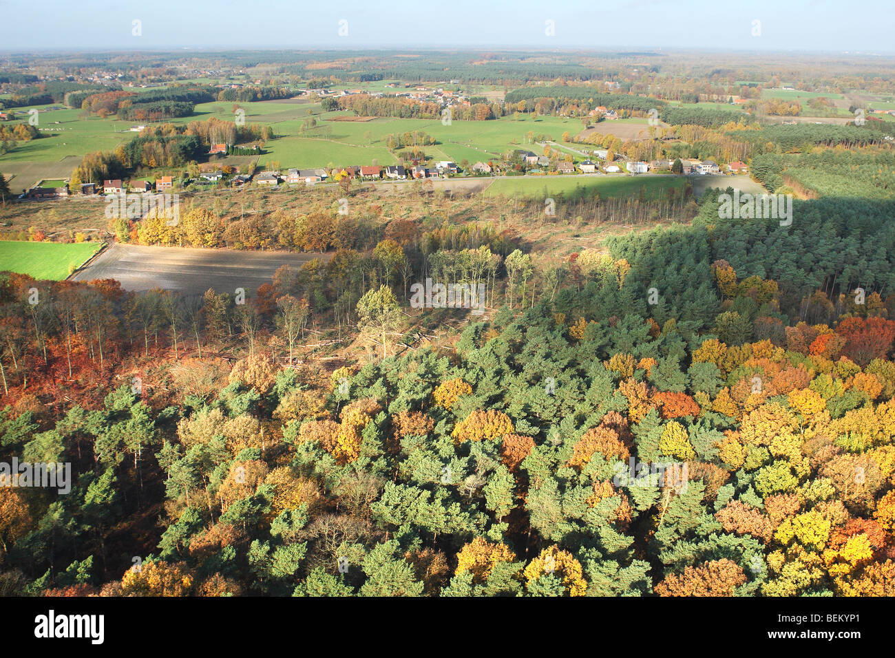 Mischwald mit Eichen (Quercus Robur) Buche (Fagus Sylvatica) und Birken (Betula SP.) mit Wald, Felder und Wiesen ich Stockfoto