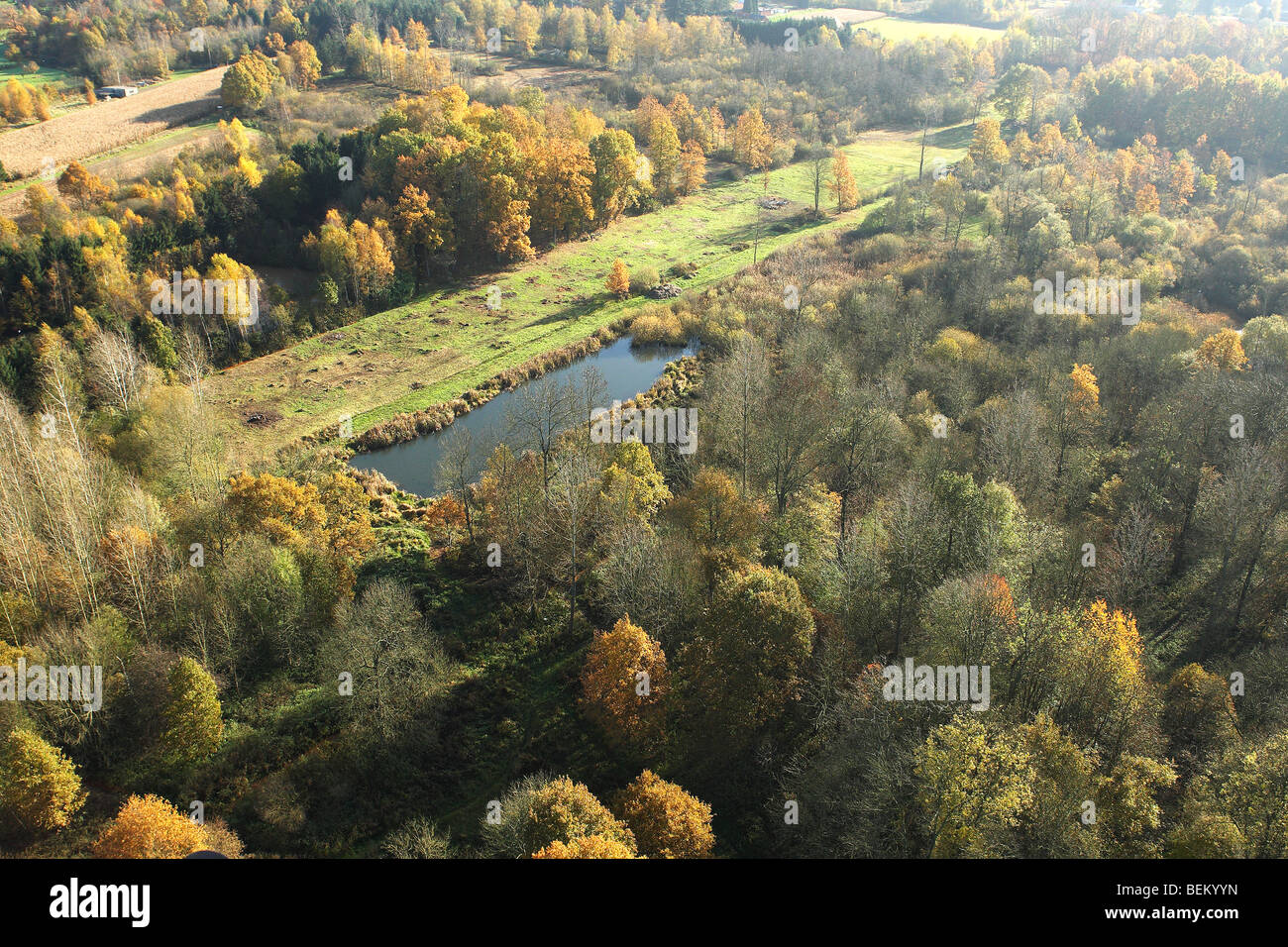 Mischwald mit Eichen (Quercus Robur), Birken (Betula SP.) und Pool im Herbst aus der Luft, Belgien Stockfoto