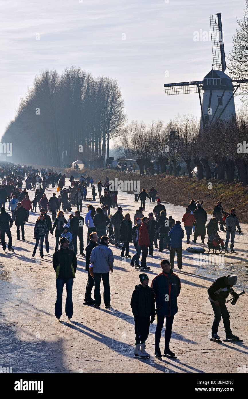 Eisläufer und Spaziergänger auf dem gefrorenen Damme-Kanal in der Nähe der Windmühle Schellemolen in Damme im Winter, West-Flandern, Belgien Stockfoto