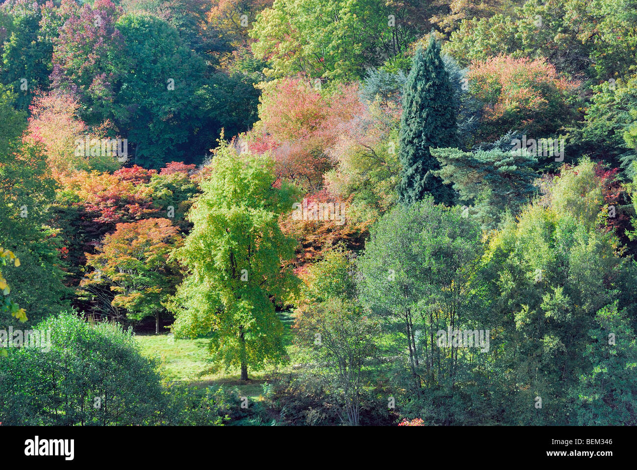 Surrey Landschaft im Herbst Stockfoto
