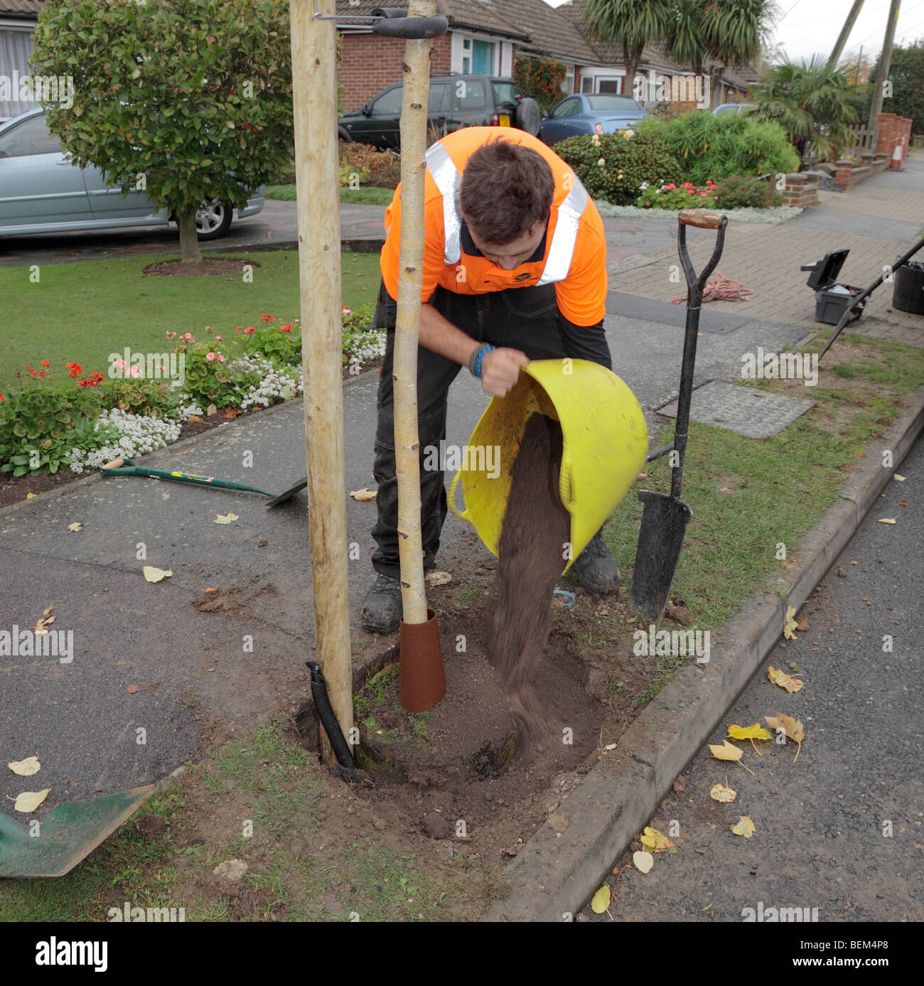 Mann die Pflanzung eines Baumes in einer Straße. Stockfoto