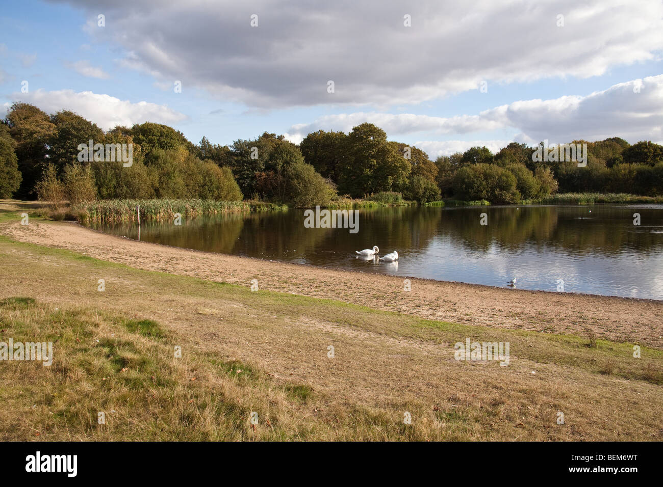 Wanstead Park, London, England. Stockfoto