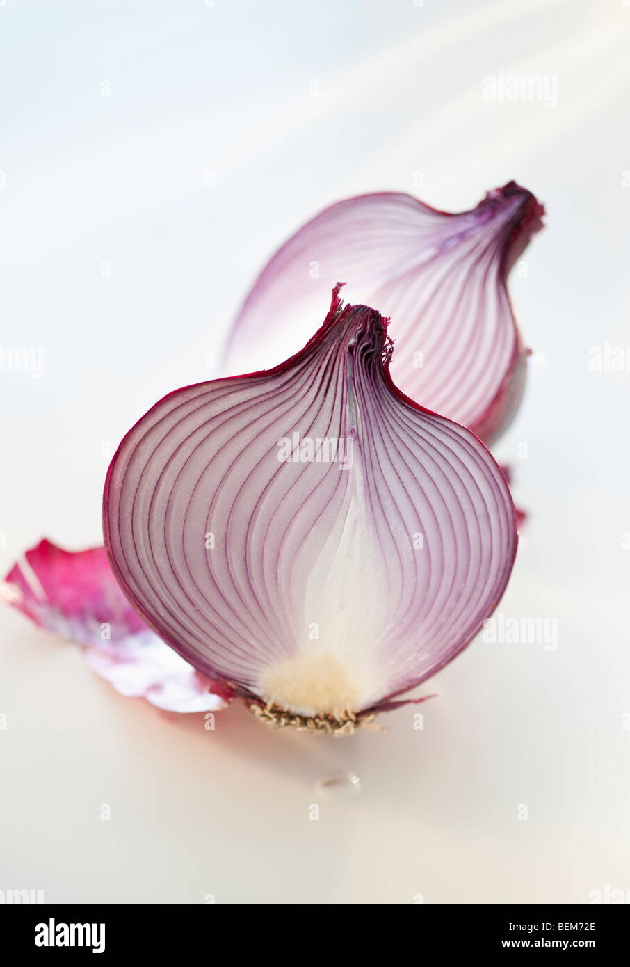 Rote Zwiebeln Stockfoto