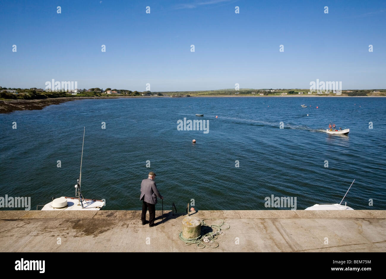 Alte Mann beobachtet Fangtätigkeit im Carrigaholt Fischerhafen am Shannon, County Clare, Irland Stockfoto