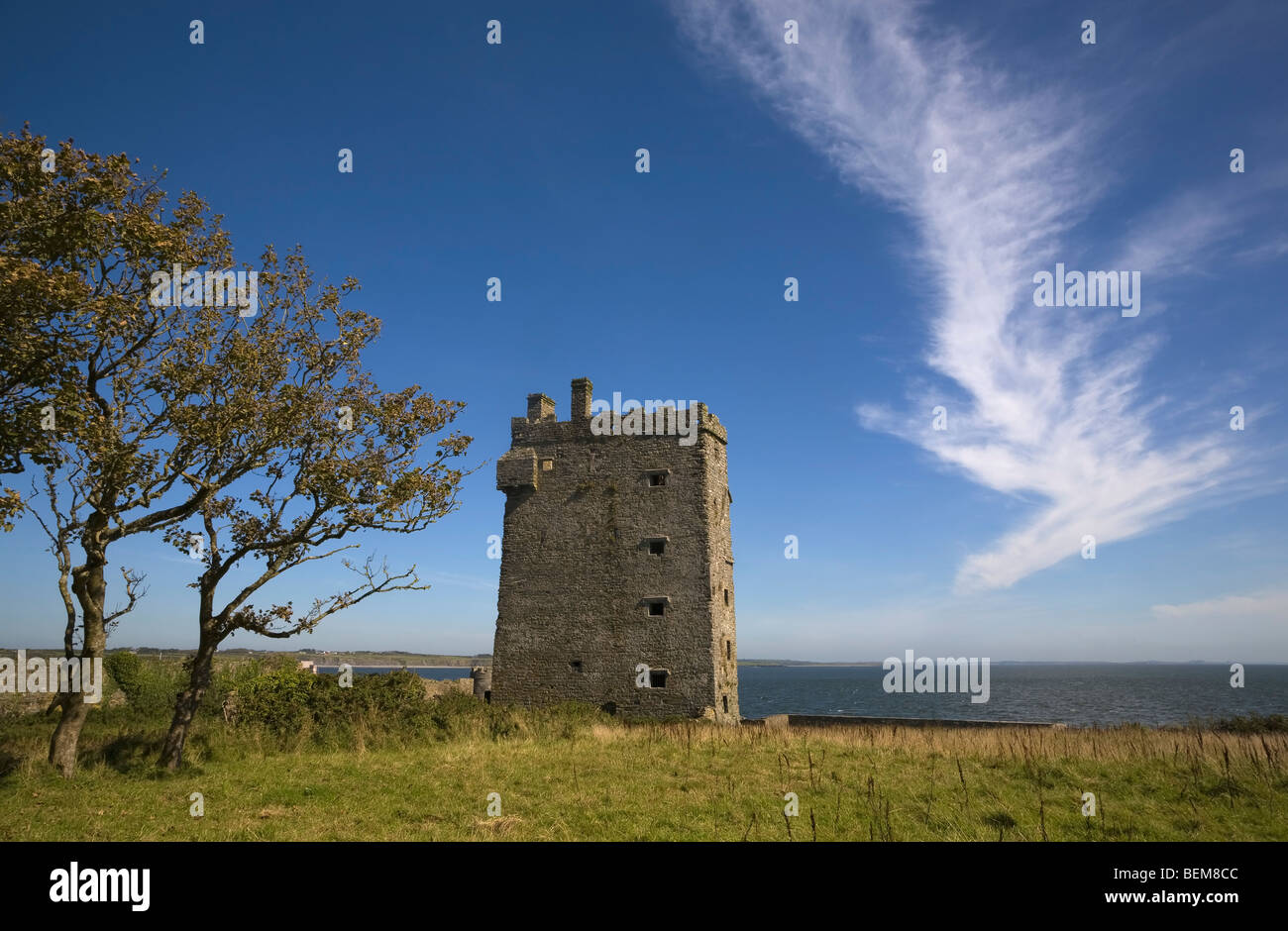 14. Jahrhundert MacMahon Burg, mit Blick auf den Fluss Shannon bei Carrigaholt, County Clare, Irland Stockfoto