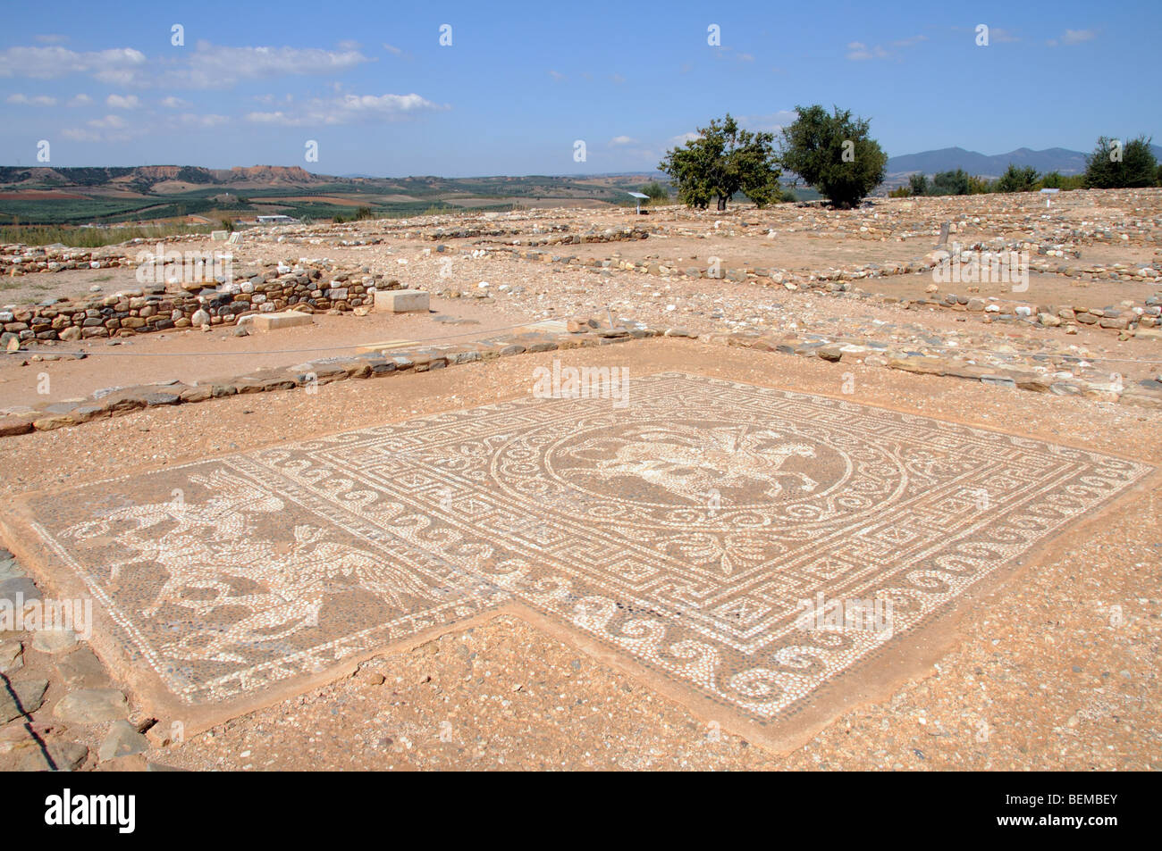 Olynthos antike griechische Stadt archäologische bleibt nördlichen Griechenland Mosaikboden Pegasus & Bellerephon Stockfoto