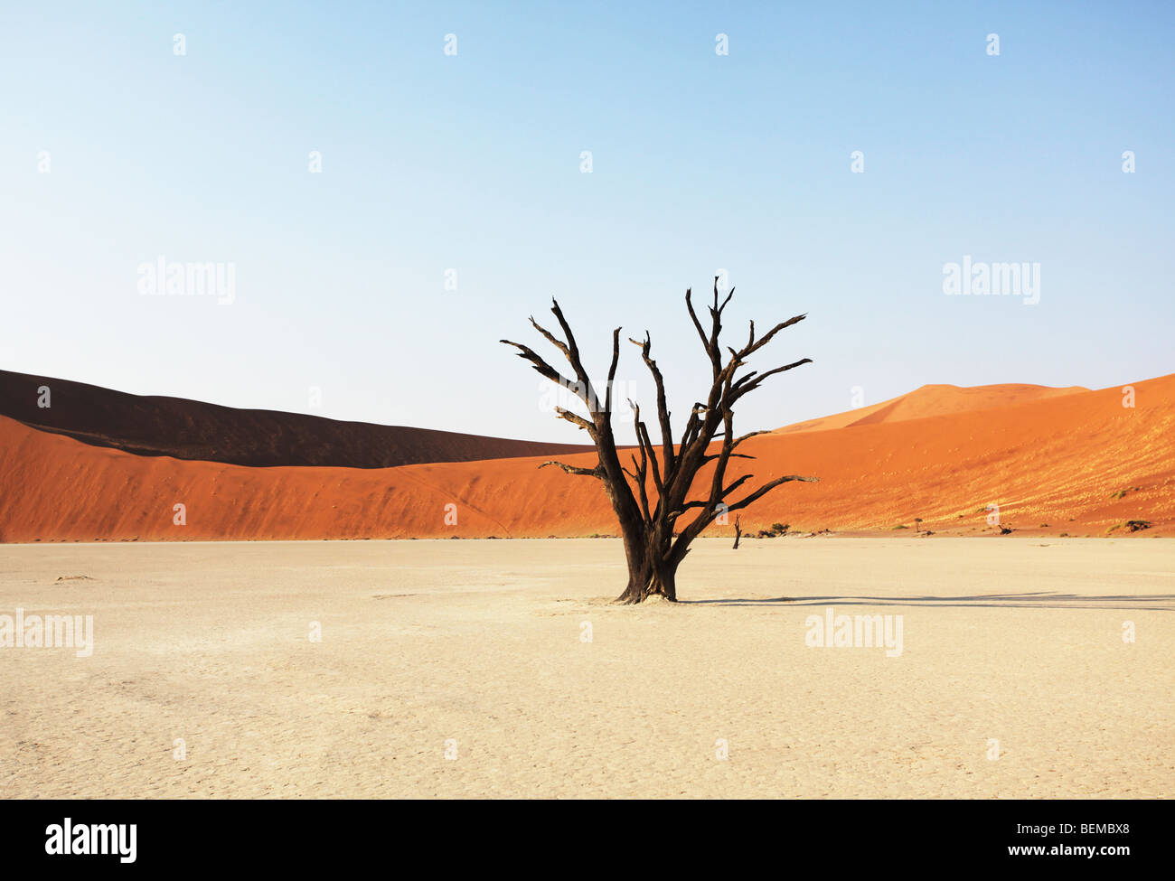 Tot-Tal in Namibia Stockfoto