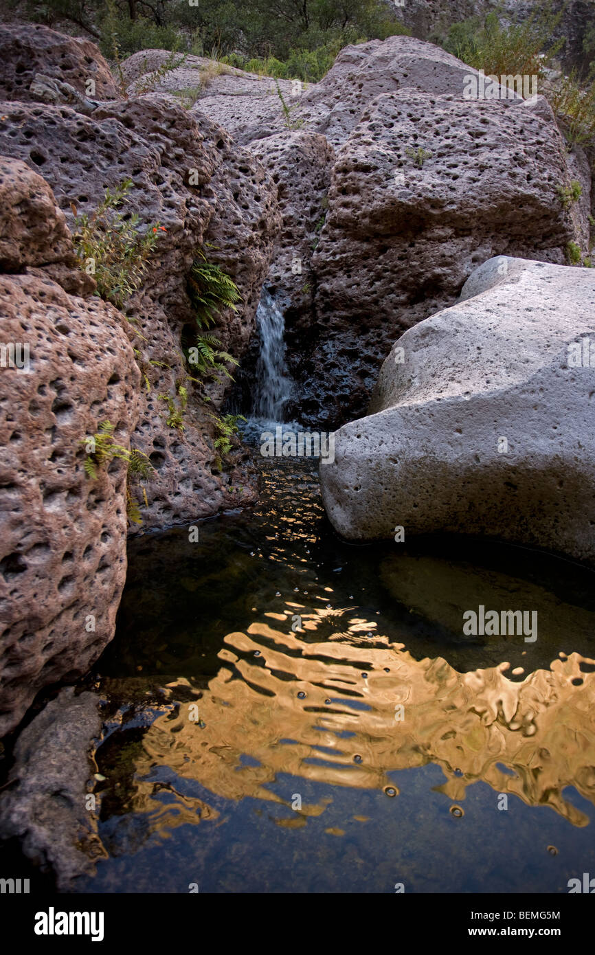 Aravaipa Canyon Wilderness - Stream in Berg-Schlucht mit Reflexion zeigt Klippen über - AZ Stockfoto