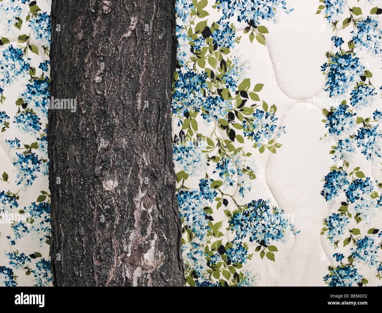 Alte Matratze Baum gelehnt Stockfoto