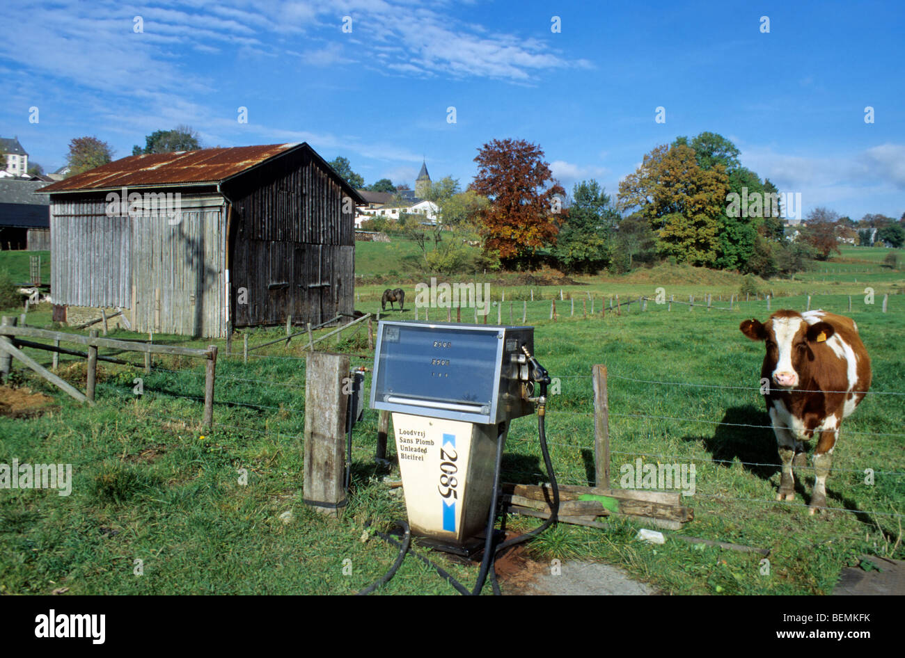 Alten Zapfsäule und Kuh auf dem Lande, Ardennen, Belgien Stockfoto
