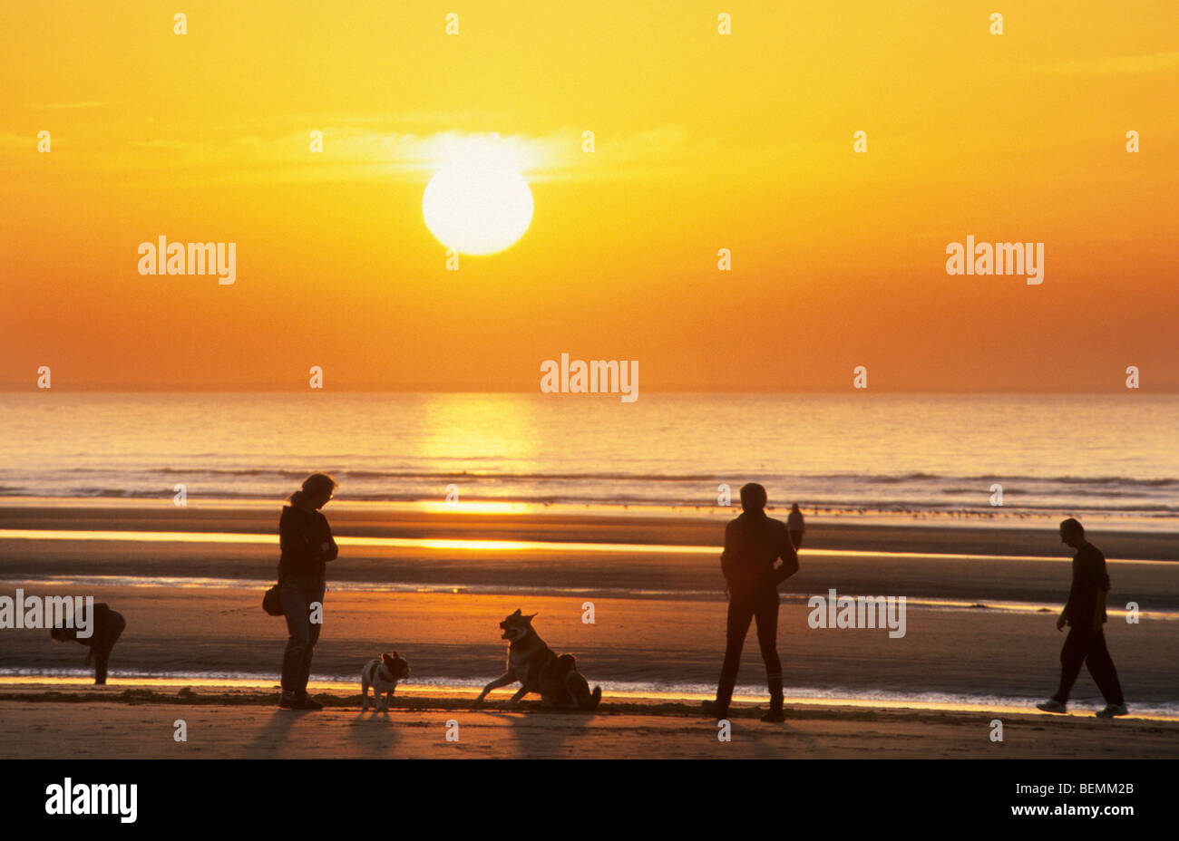 Menschen zu Fuß mit Hunden am Strand bei Sonnenuntergang an der Nordsee-Küste Stockfoto