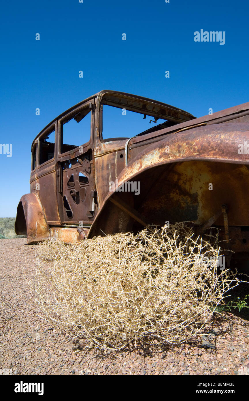 Alte rostige Auto und stachelige Distel Russisch / Tumbleweed (Salsola Tragus / Salsola Iberica) Arizona, USA Stockfoto