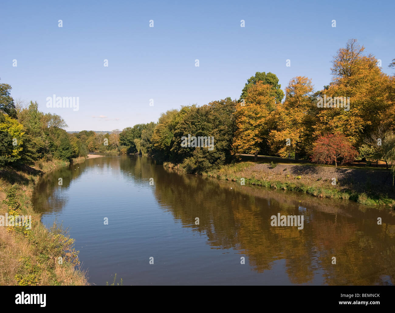 Fluß Taff im Herbst Stockfoto