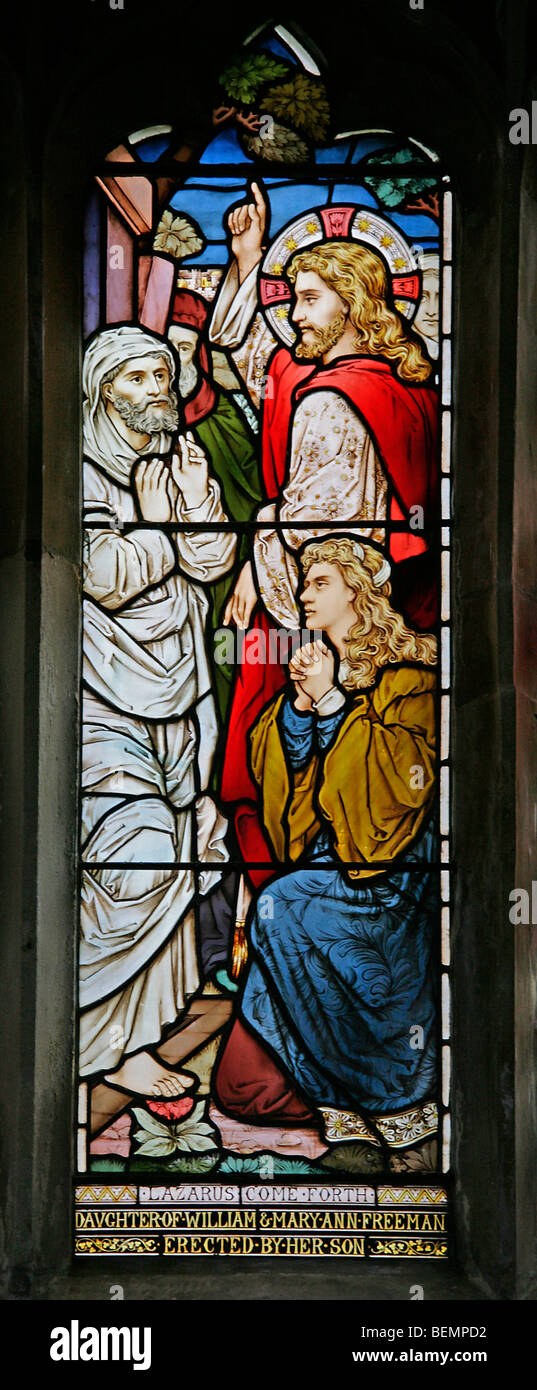 Ein Glasfenster, die Anhebung des Lazarus, St. Edmund Kirche Swanton Novers darstellen. Norfolk Stockfoto