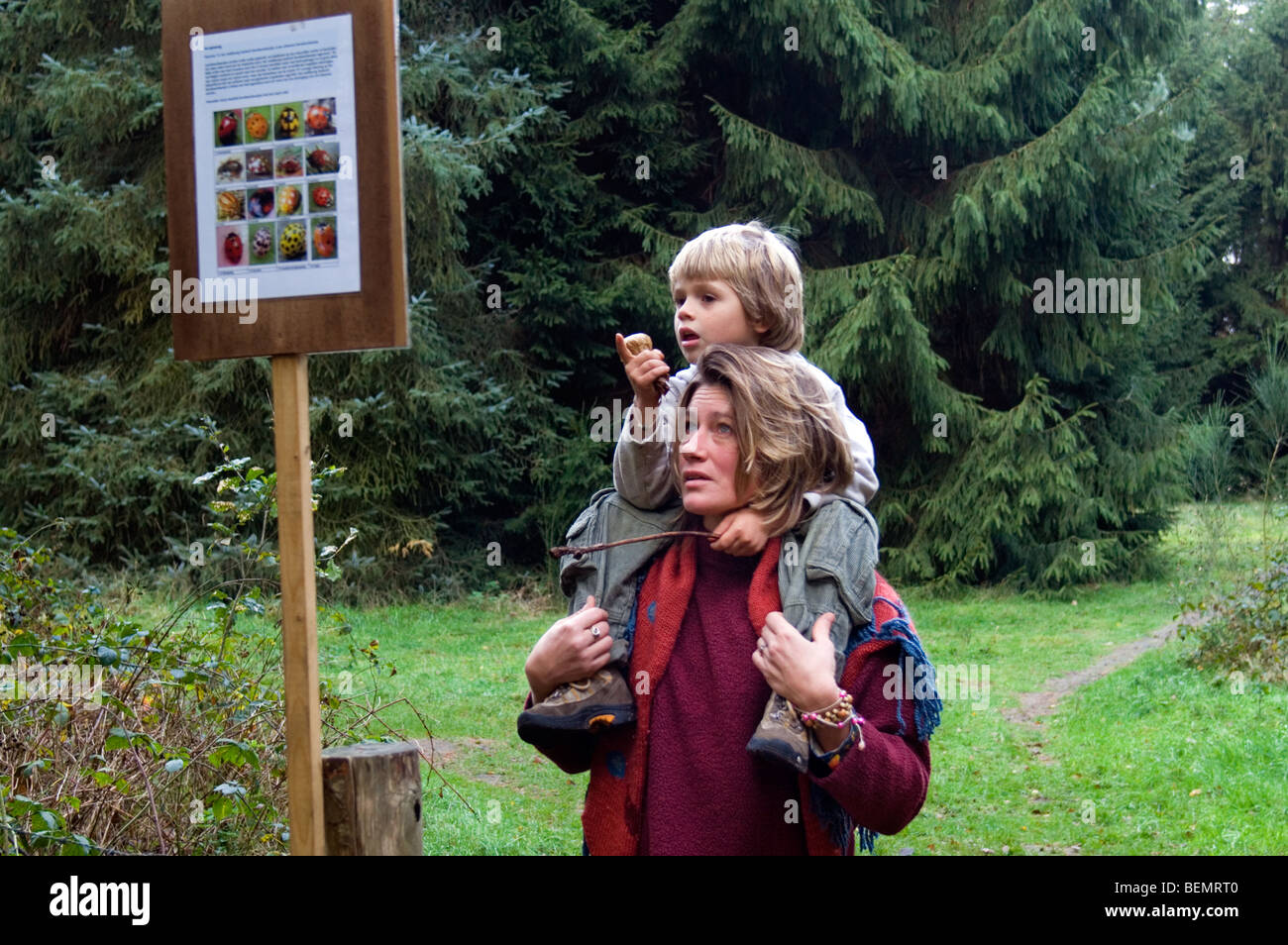 Mutter mit Kind auf Schultern lernen über die Natur durch das Lesen von Wildtieren Informationstafel am Lehrpfad im Wald Stockfoto