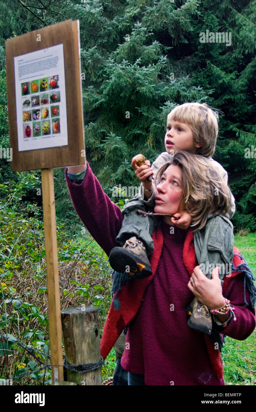 Mutter mit Kind auf Schultern lernen über die Natur durch das Lesen von Wildtieren Informationstafel am Lehrpfad im Wald Stockfoto