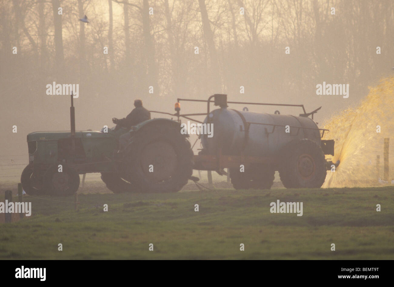 Düngung mit Traktor, Dudzele, Belgien Stockfoto