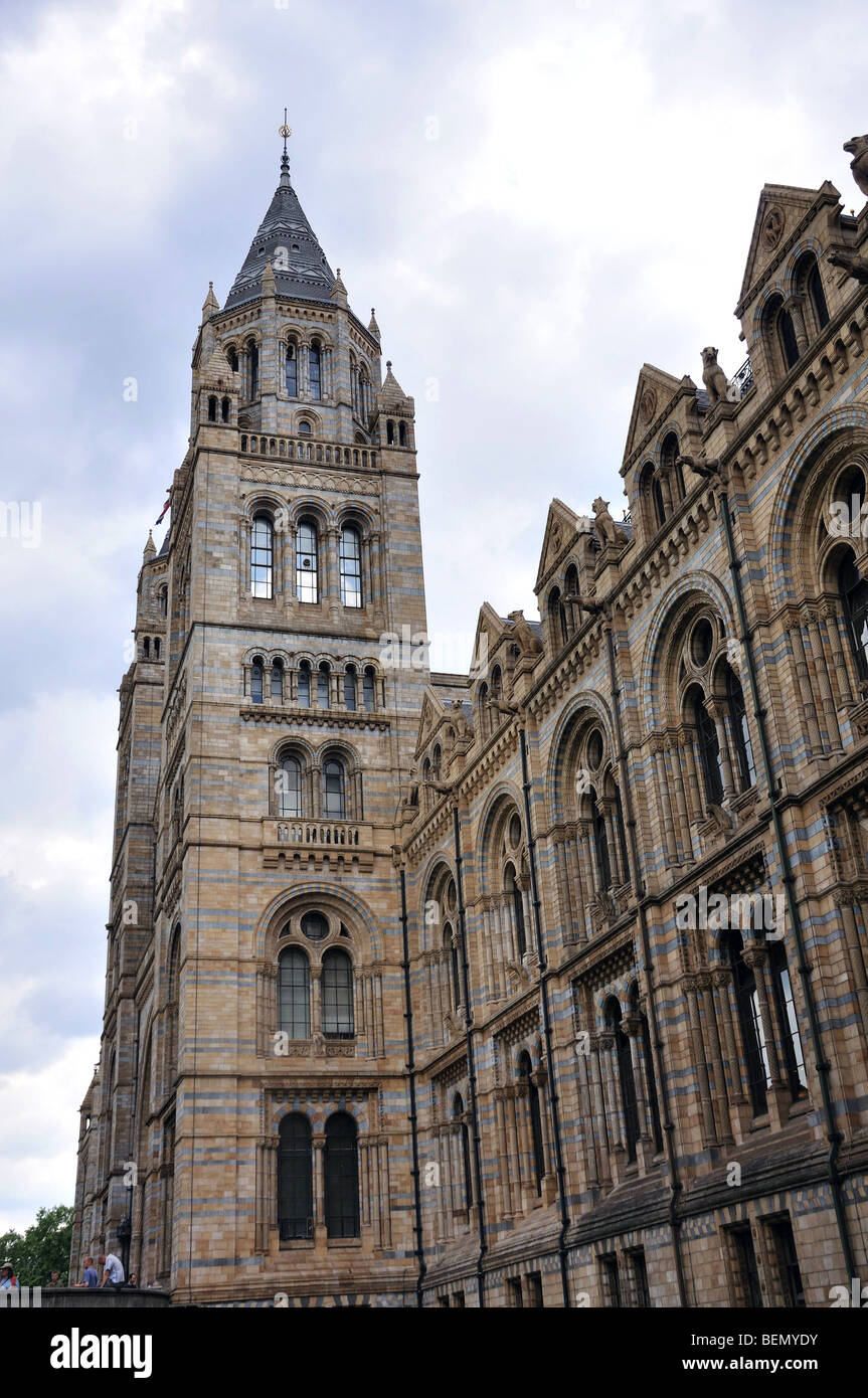 Natural History Museum in London Stockfoto