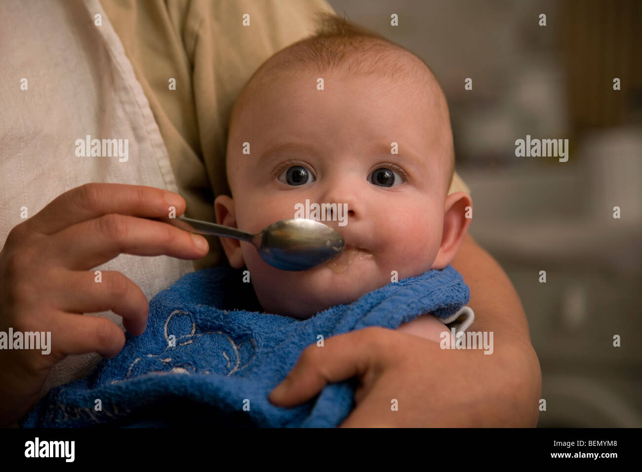 fünf Monate altes Baby seinen ersten geriebenen Apfel essen Stockfoto