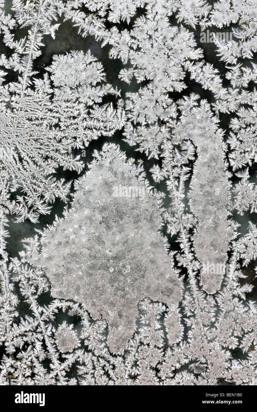 Eiskristalle / frost Blüten bilden auf gefrorenen Fensterscheibe während der Raureif im kalten winter Stockfoto