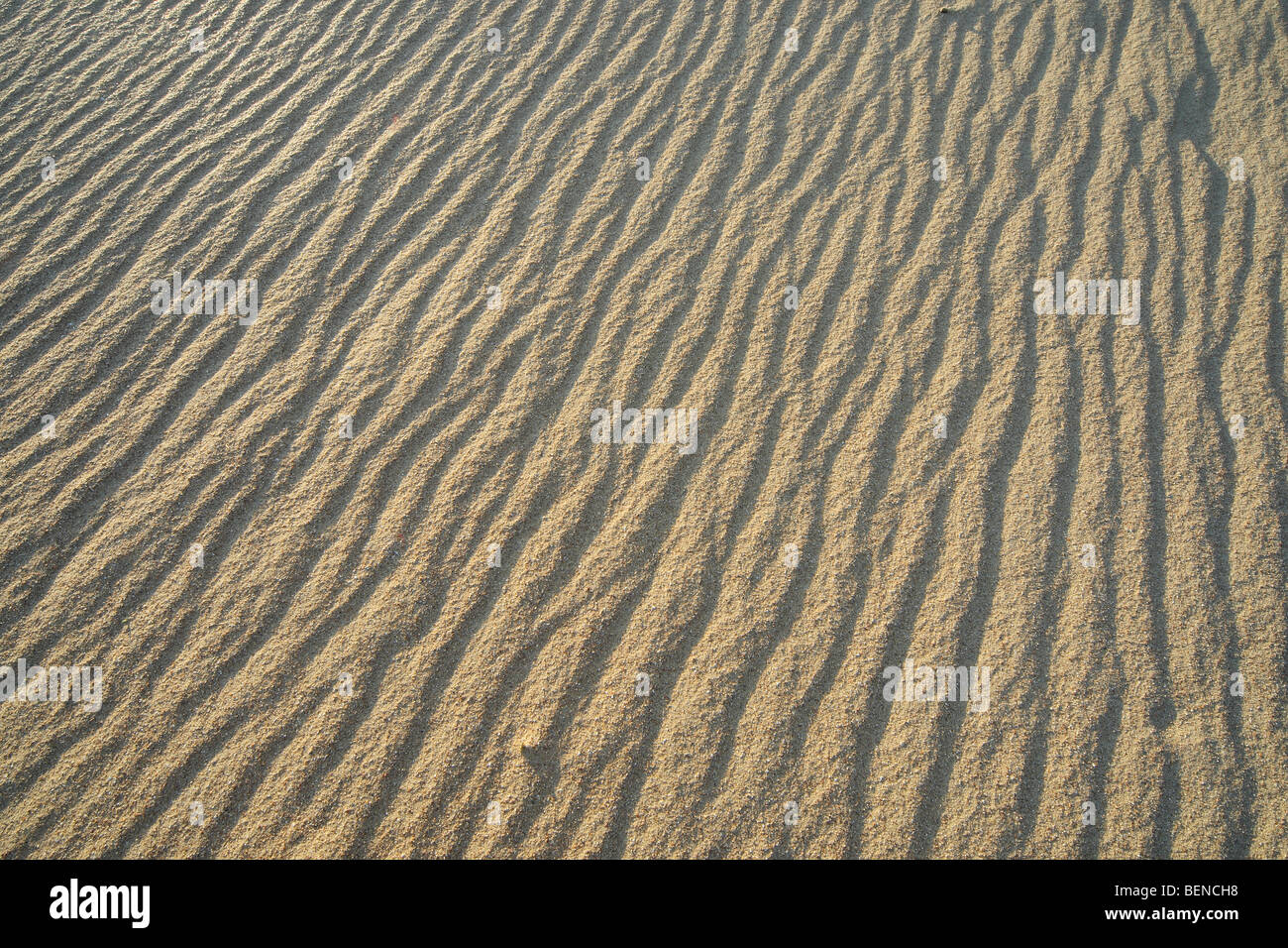 Sand, Wellen in den Dünen. Belgien Stockfoto