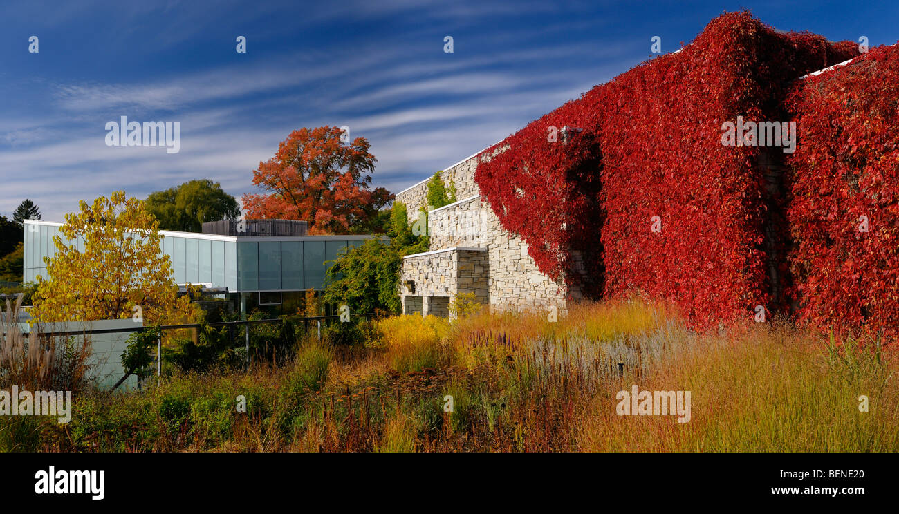 Panorama der neuen, modernen Gebäude an der Toronto Botanical Garden in Edwards Gärten Toronto abgedeckt mit roten Efeu im Herbst Stockfoto