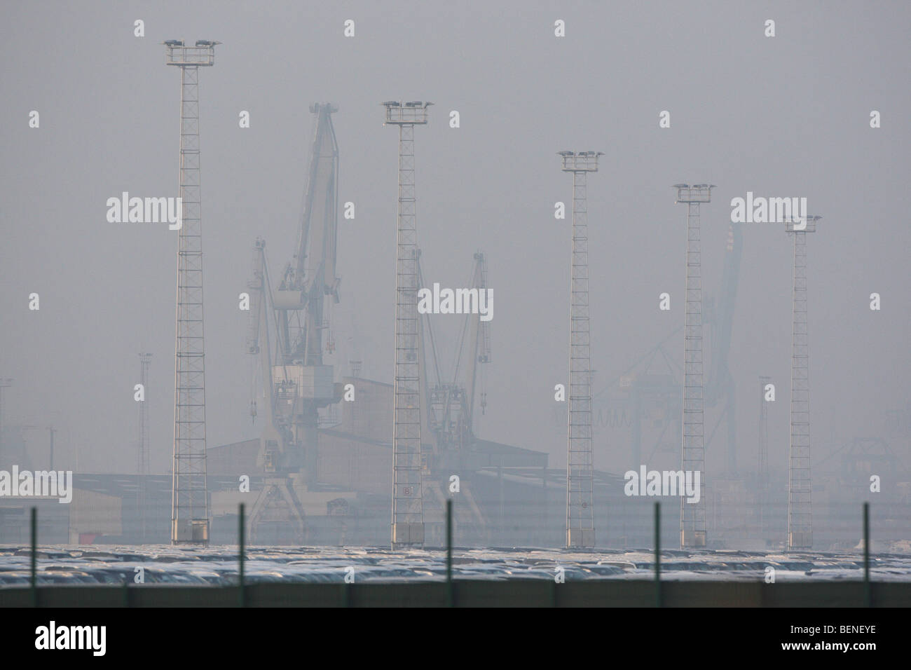 Polen im Gewerbegebiet, Hafen von Zeebrugge, Belgien Stockfoto