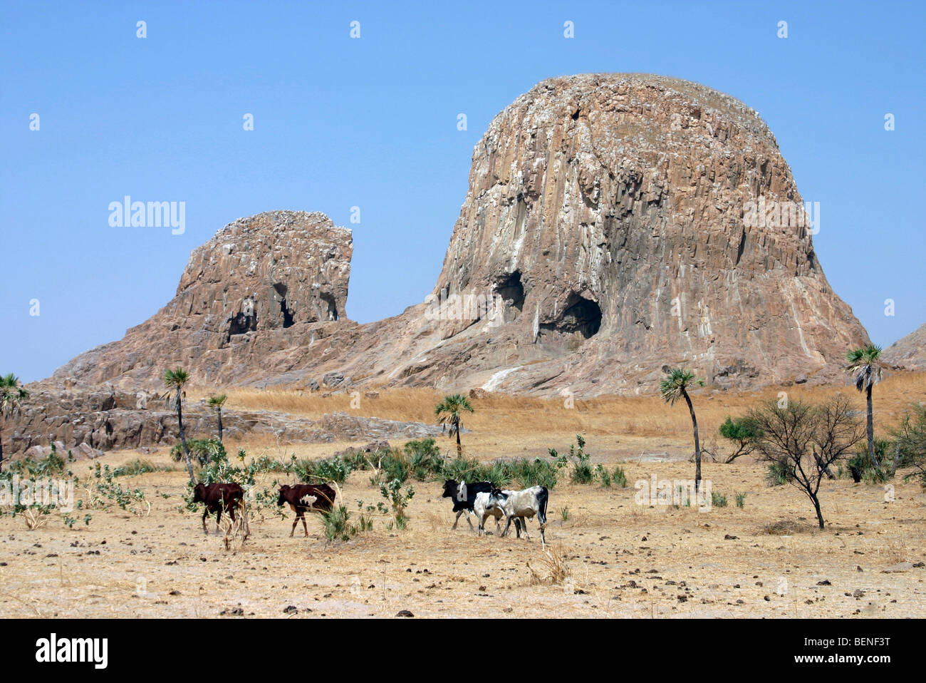 Vulkanische ausgewaschene Basaltfelsen der Hadjer El Hamis / Rocher des Elefanten / Elephant Rock in der Nähe von Douguia, Tschad, Zentralafrika Stockfoto