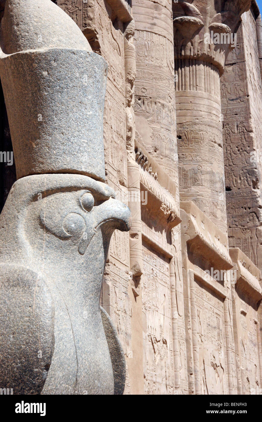 Statue des Horus an den Tempel von Edfu, antiken ägyptischen Tempel befindet sich am Westufer des Nil, Ägypten, Nordafrika Stockfoto