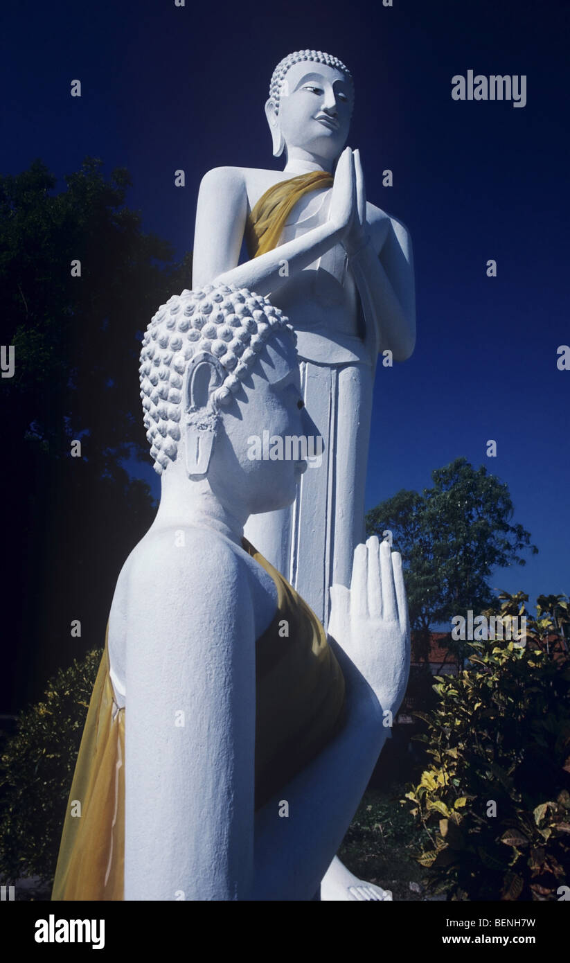 Statuen von Buddha, beten mit Safran Schärpen über der Brust am Wat Yai Chai Mongkol (allgemein bekannt als die 'Grosse' Wat) Stockfoto