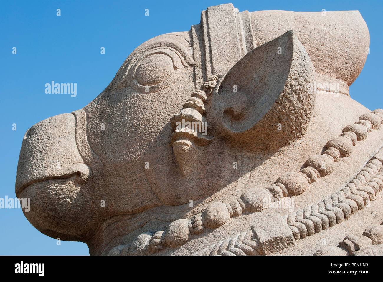 Leiter des Nandi-Statue am Lepakshi in Anantapur Bezirk von Andhra Pradesh, Indien Stockfoto