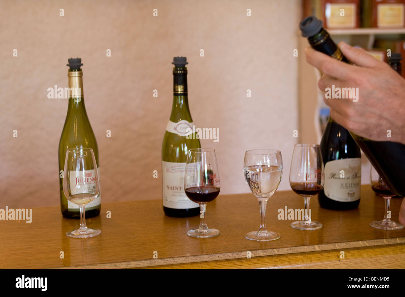 Weinverkostung im genossenschaftlichen Keller im Beaujolais Stockfoto