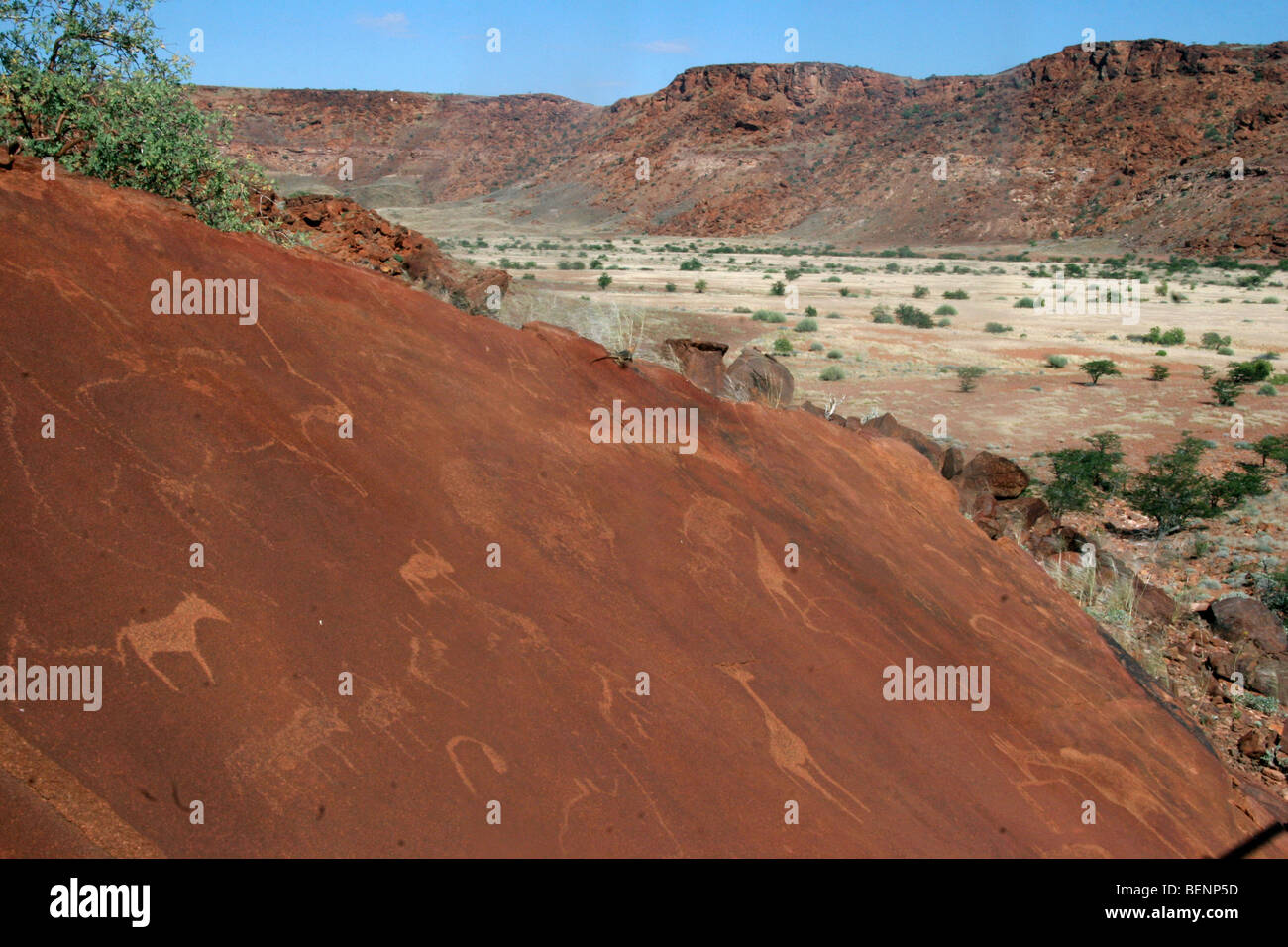 Rock-Gravuren / Petroglyphen von Tieren, Namibia, Südafrika Stockfoto