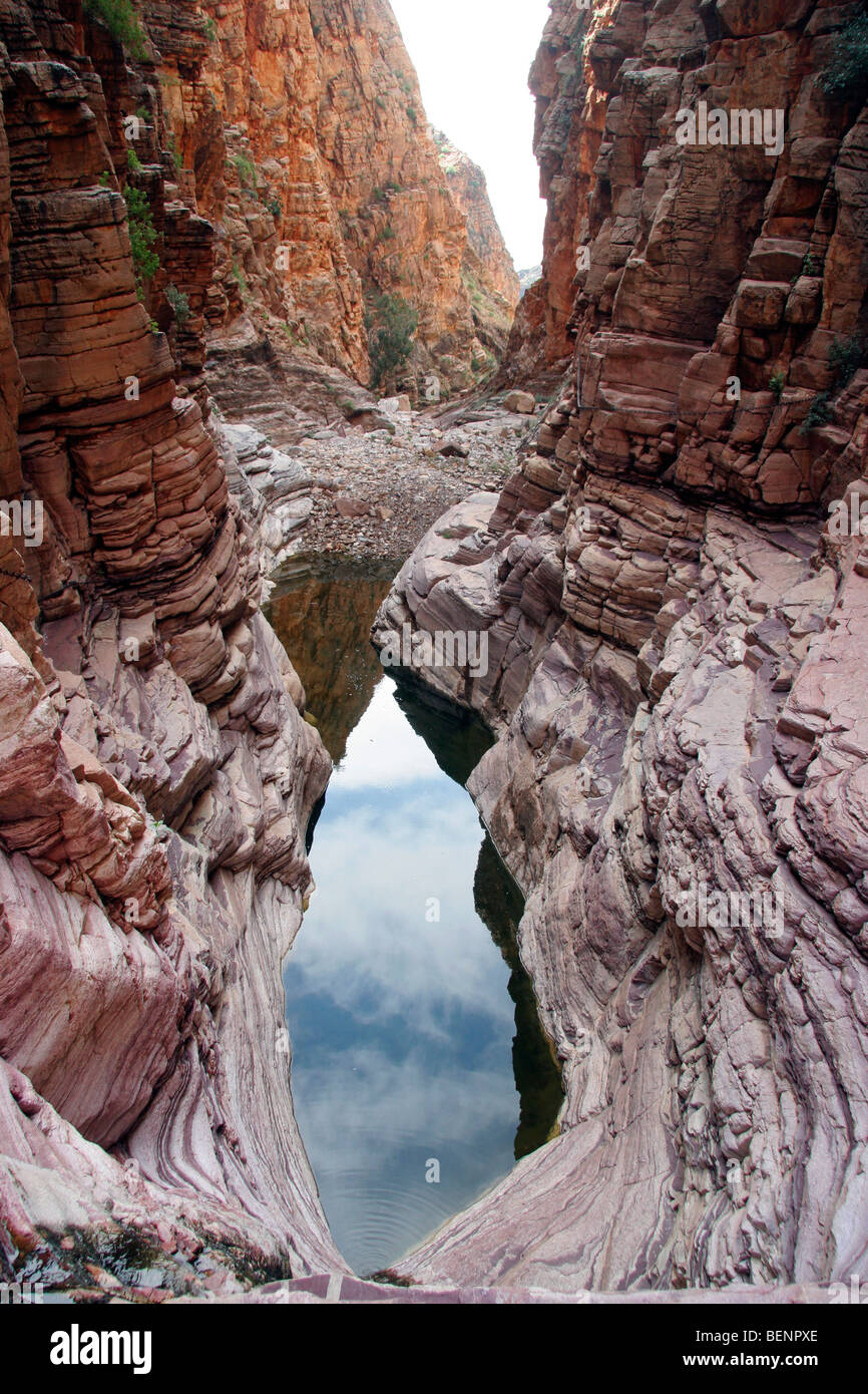 Olive Trail im Namib Naukluft, Namibia, Südafrika Stockfoto