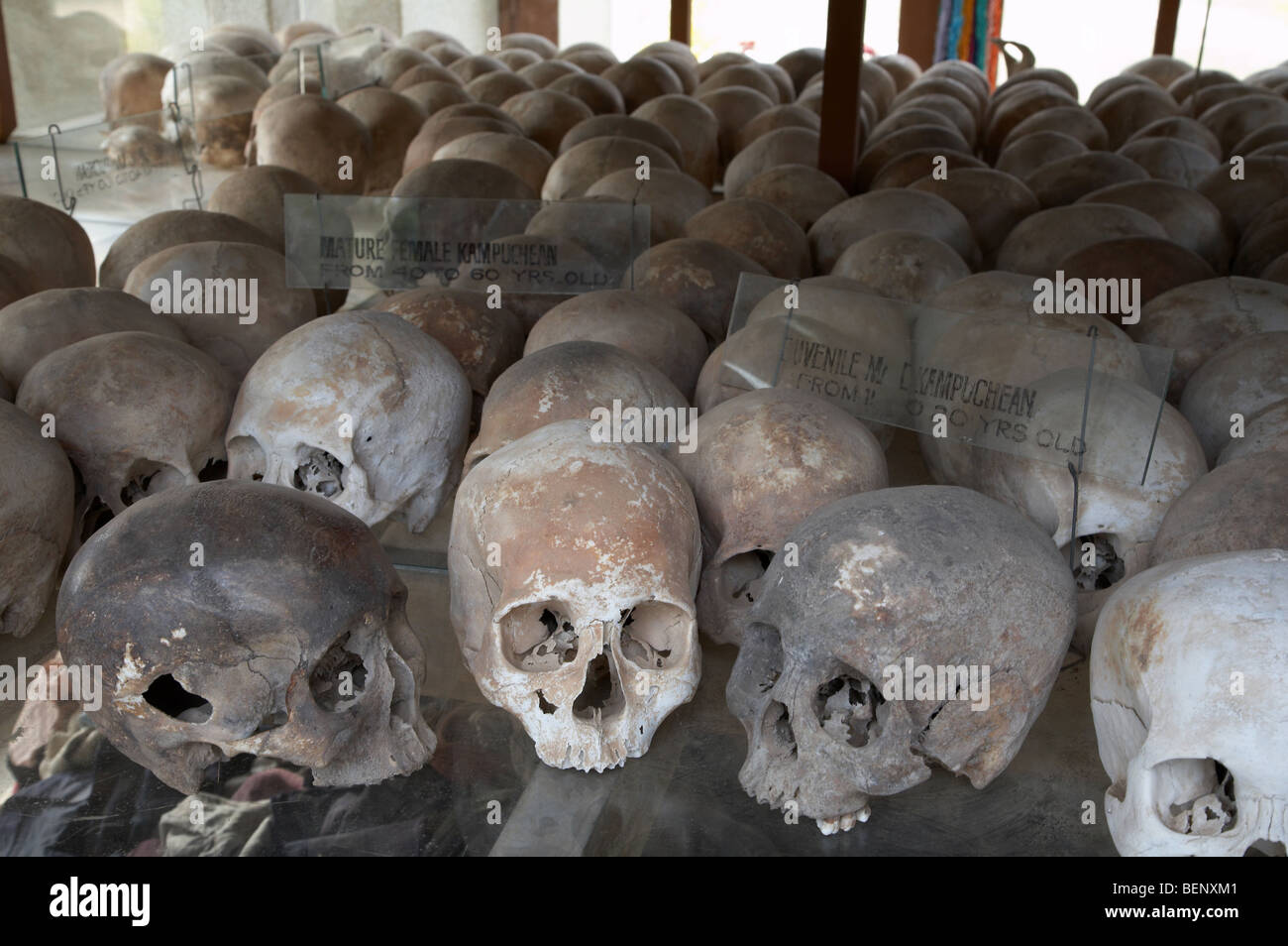 Das töten Felder National Memorial, Kambodscha Phnom Penh. Schädel von Opfern von Khmer Rouge getötet. Stockfoto