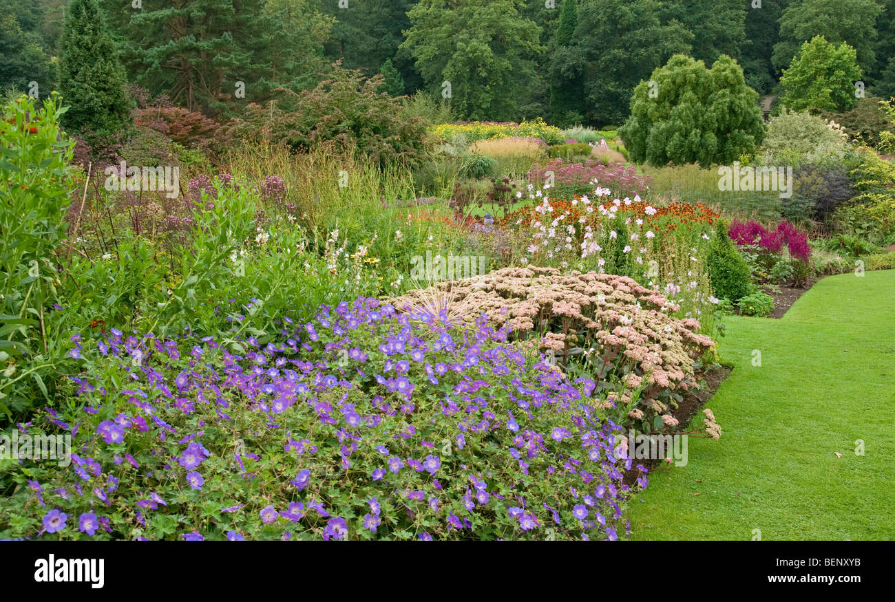 Gemischte Grenze Sedum Geranium Wallichianum Sidalcea Astilbe RHS [Harlow Carr] Gärten Harrogate Stockfoto