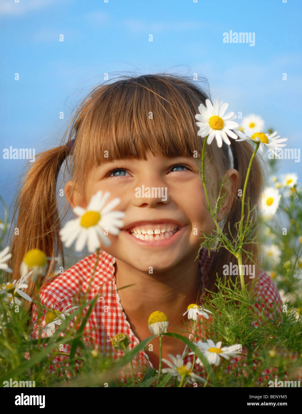kleines Mädchen liegen auf dem Rasen in einem Feld von Blume Stockfoto