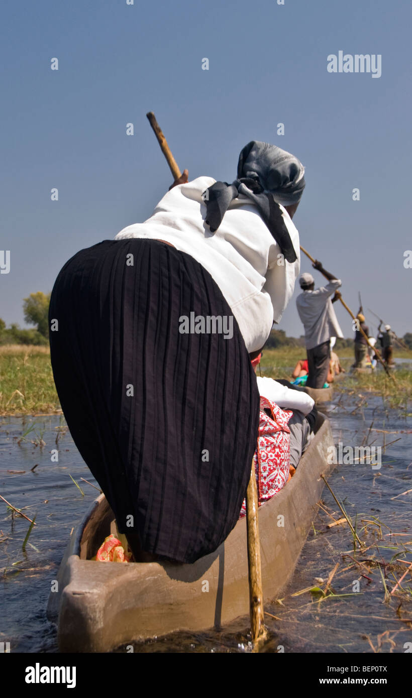 Mokoro-Poler. Okavango Delta, Botswana, Afrika. Stockfoto
