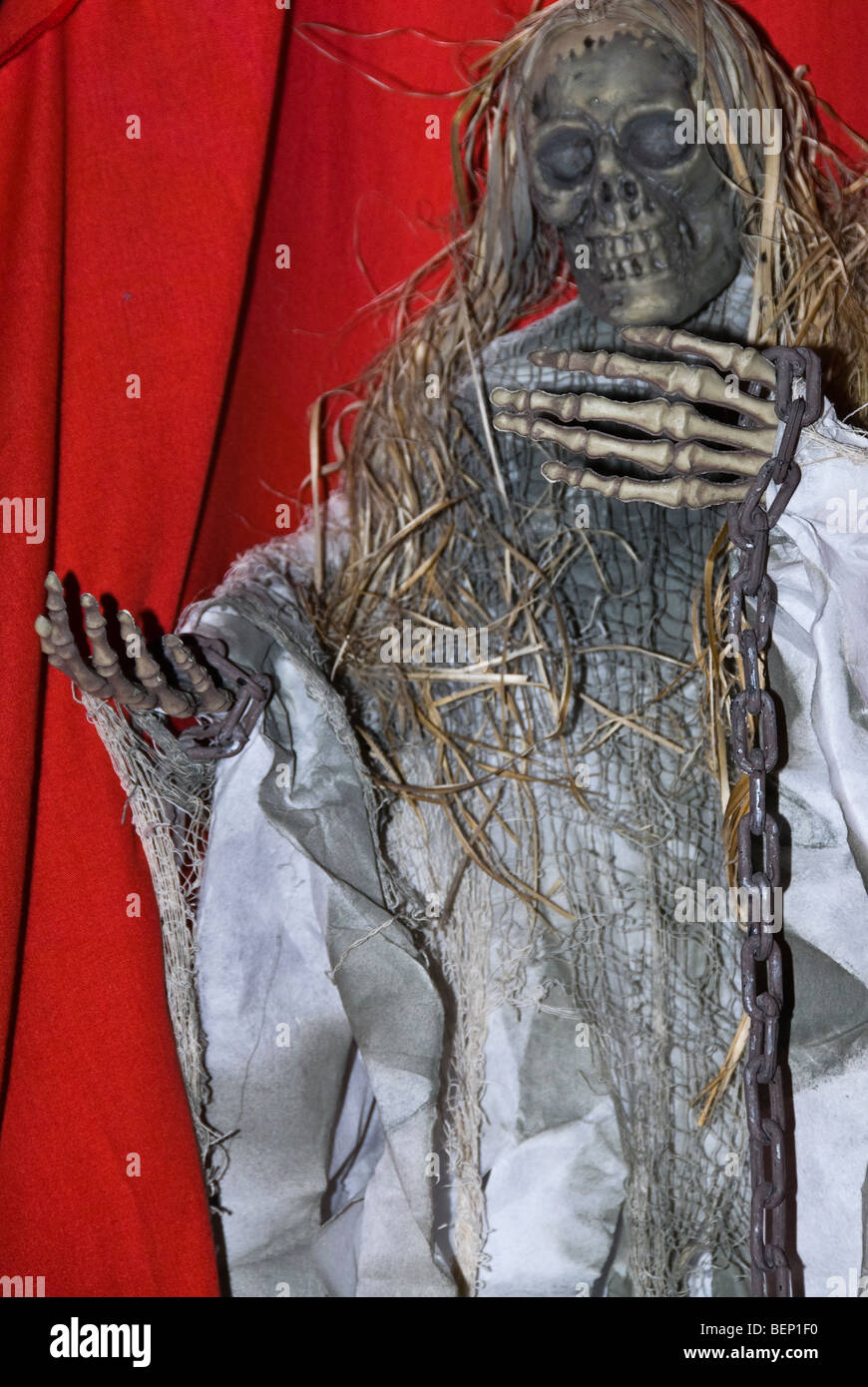 Halloween-Nacht-Skelett Stockfoto